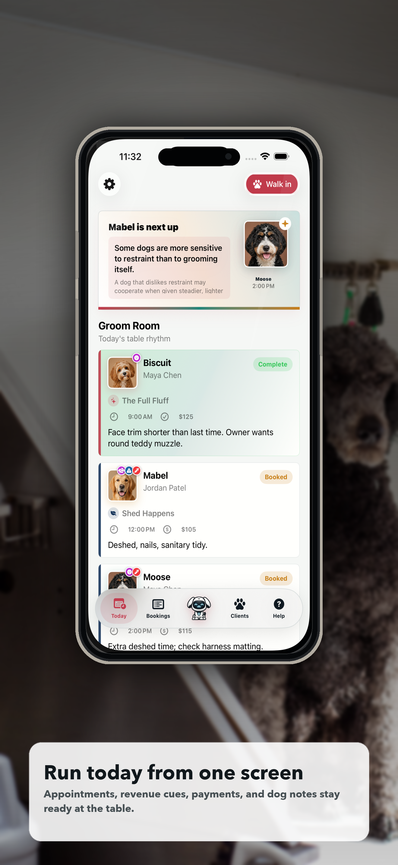 Doggie Style iPhone preview of the Today dashboard for grooming appointments