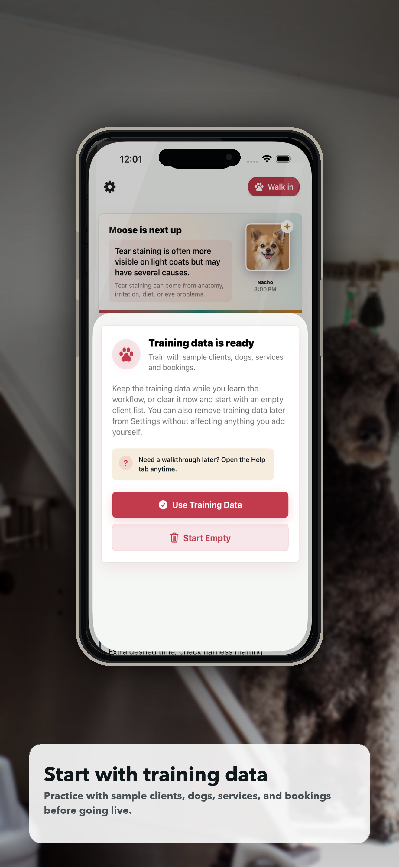 Doggie Style training data ready screen with privacy controls